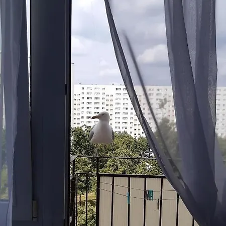 Apartment Seaside Gospody 5a