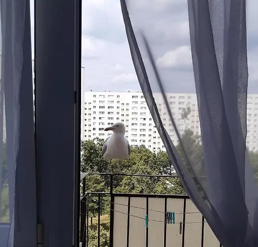 Appartamento Seaside Gospody 5a